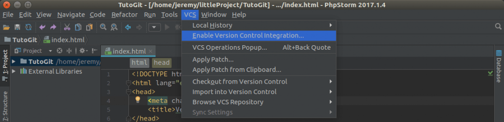 Enable Version Control Integration