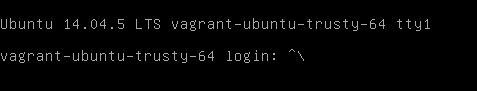 Console Ubuntu par Vagrant