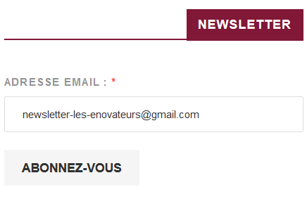 Inscription Newsletter Les Enovateurs